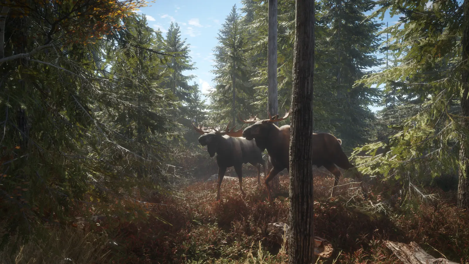 theHunter: Call of the Wild gameplay